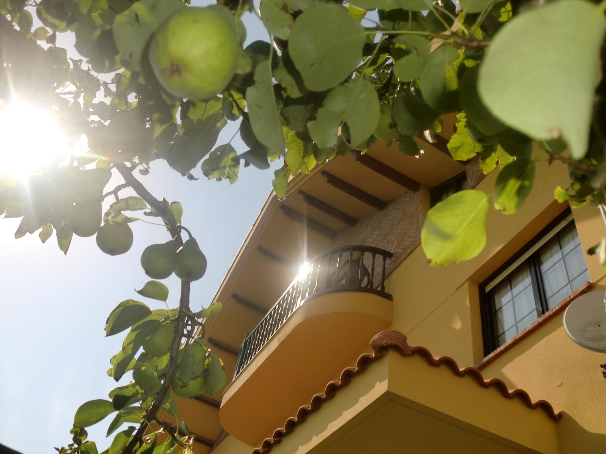 Posada Las Garzas Santoña Buitenkant foto
